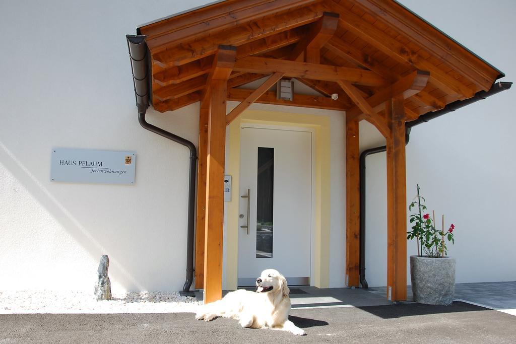 Apartmán Haus Pflaum Dellach im Drautal Exteriér fotografie